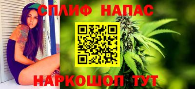 apvp Беслан