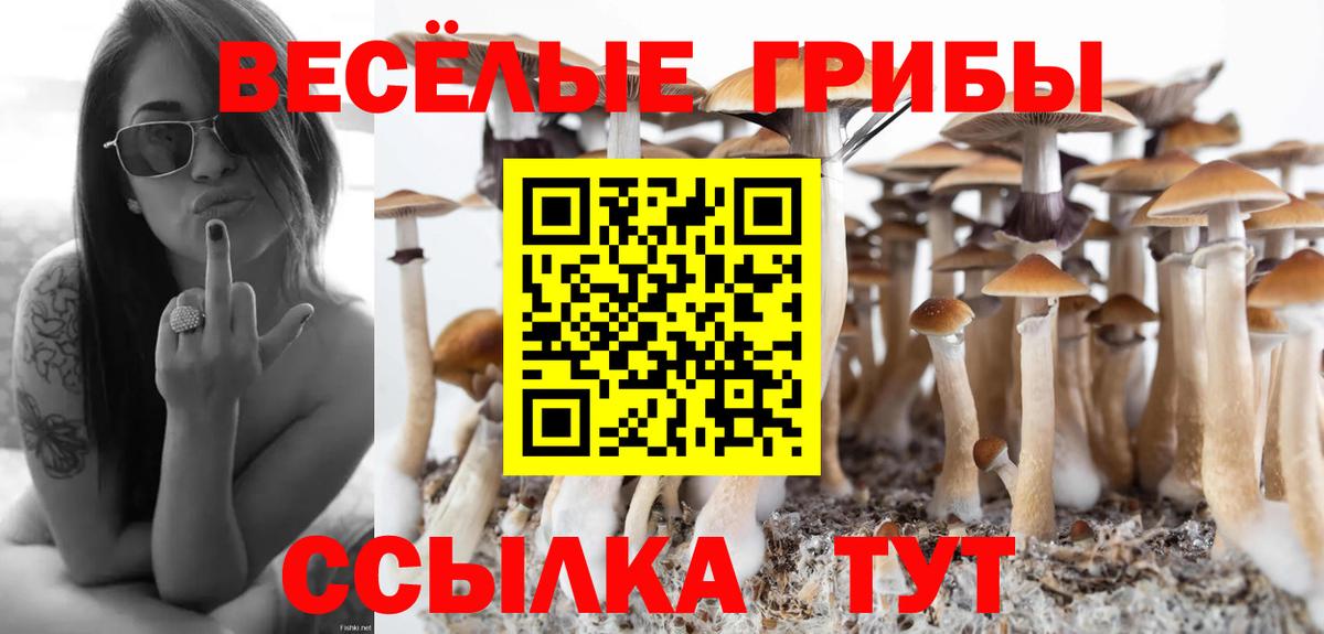 Галлюциногенные грибы мухоморы  Вход с VPN  Коломна  Галлюциногенные грибы MAGIC MUSHROOMS 